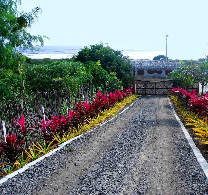 Villa Curia Montanita Exterior photo